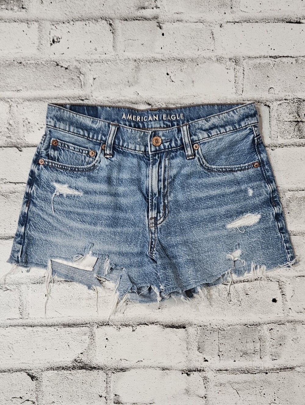 American Eagle 90s Boyfriend Distressed Denim Shorts Size 2